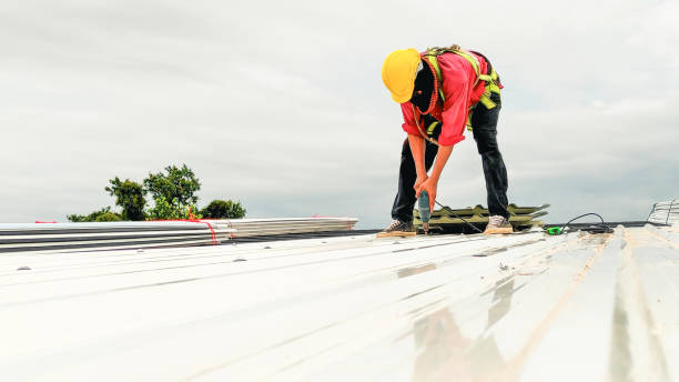 Best Skylights  in Demorest, GA