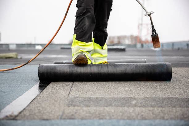 Best Roof Ventilation Installation  in Demorest, GA